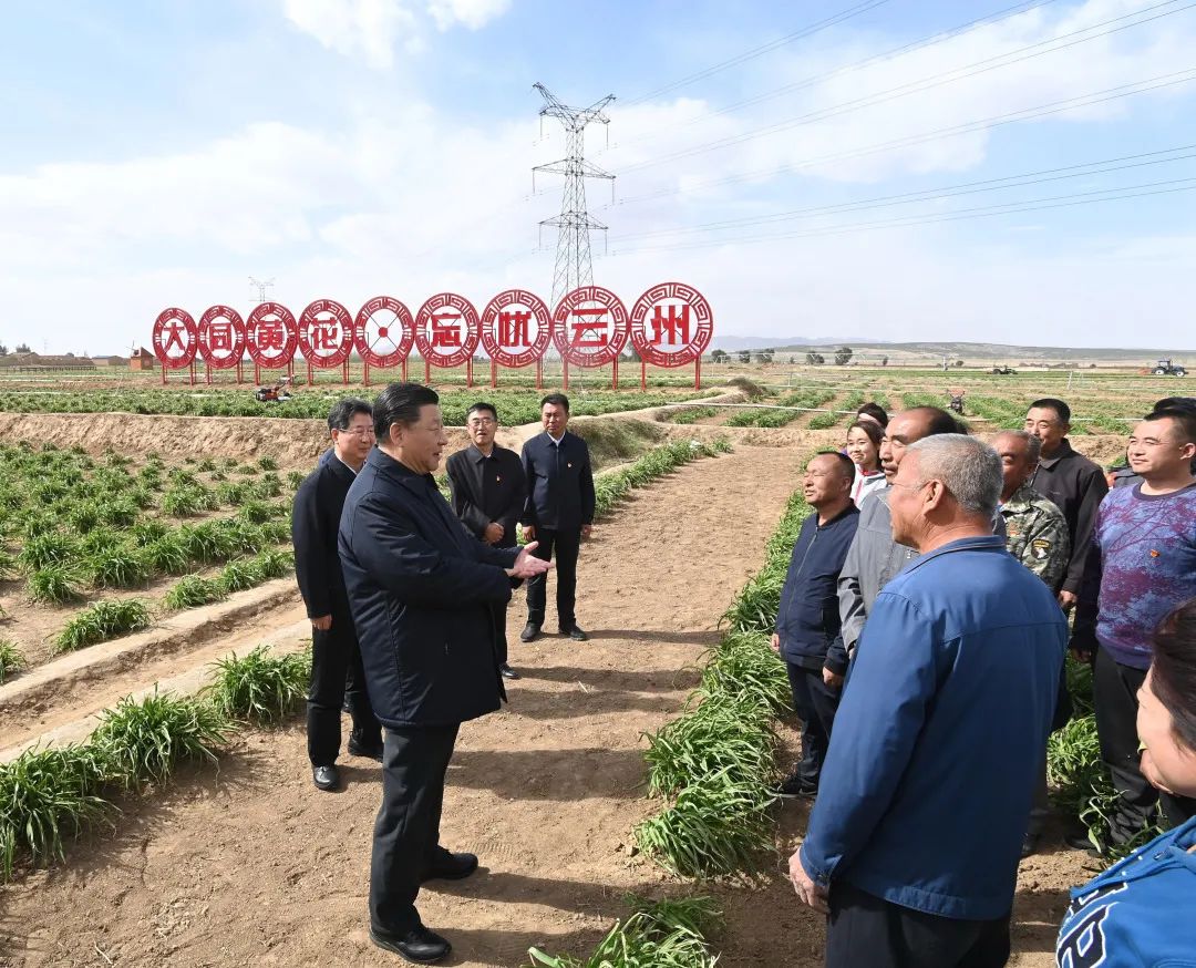 2020年5月11日，習(xí)近平考察山西大同市云州區(qū)有機黃花標準化種植基地。新華社記者 李學(xué)仁 攝