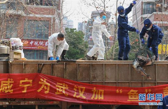 3月13日，一批運到湖北省武漢市硚口區(qū)華生漢口城市廣場社區(qū)的活魚在卸貨。當日，首批100噸調(diào)配自咸寧市的活魚運抵武漢市硚口區(qū)11個街道下轄社區(qū)。 新華社記者 程敏 攝